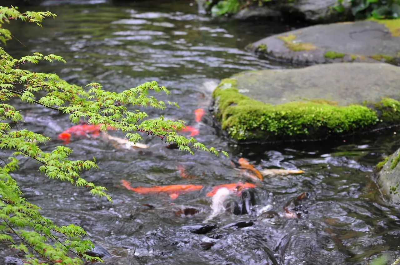 Yoshiike Ryokan Hotell Hakone